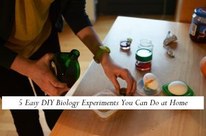 5 Easy DIY Biology Experiments You Can Do at Home